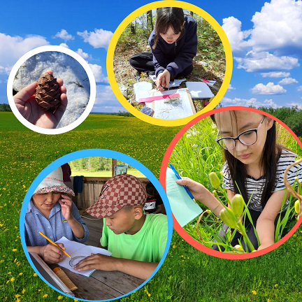 фотоальбом научное лето 2021