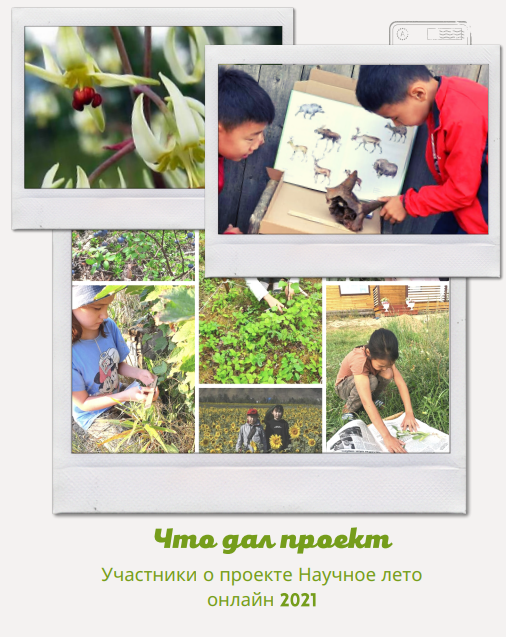 фотоальбом научное лето 2021