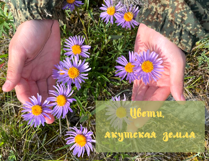 фотоальбом научное лето 2021