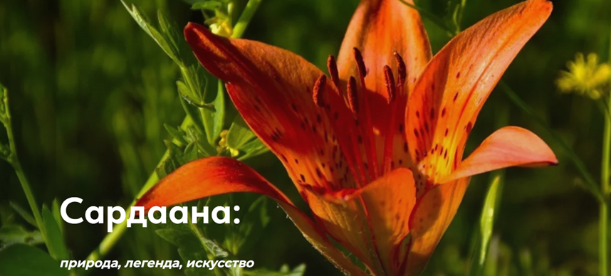 Дистанционное обучение